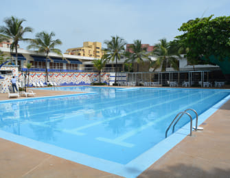 Piscina de color azul claro rodeada de palmeras y sillas blancas, con un edificio de fondo y un ambiente soleado. El agua refleja el cielo despejado.
