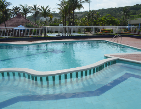 Piscina con forma irregular, rodeada de palmeras y vegetación, con bordes de azulejos y agua clara reflejando el cielo. Se observa una zona de descanso al fondo.